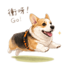超實用！柯基犬日常對話