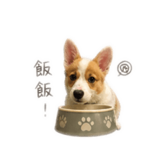 噴射基