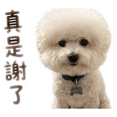 莊家旺來