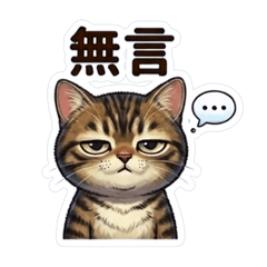 Kitten wuli