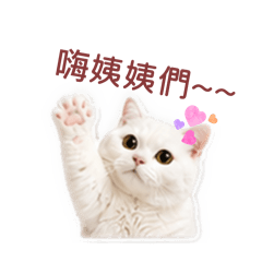 啵比第三彈