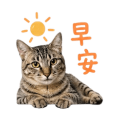 咪吉日常用語