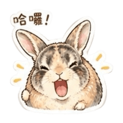 我是毛毛～可愛的小兔紙