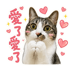 黃道吉日的黃道吉7