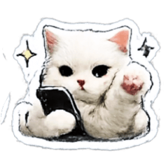 ToTo （Q版）