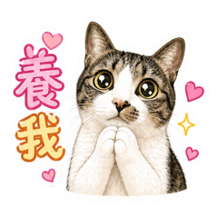 黃道吉日的黃道吉8