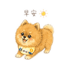 我是博美李球球