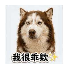 味噌寶寶自己出貼圖買床床