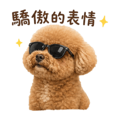 可愛小狗紅貴賓毛毛（發胖版）
