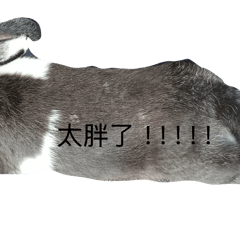 nono的日記