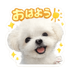 yuka_20260503001728