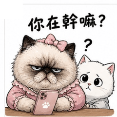 黑妞公主與寶寶的姊弟打鬧日常