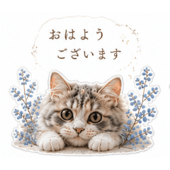 moka_cat_20260512151646