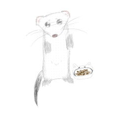 R_20260512153451