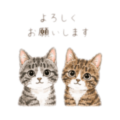 Rokuhana Gentle Everyday Stickers