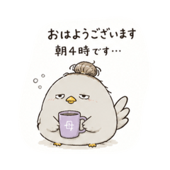 reo_20260512152419