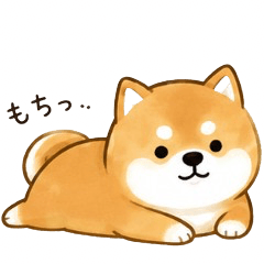 Mochitto Shiba Inu