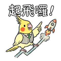 股海小菜雞：玄鳳鸚鵡的韭菜日常