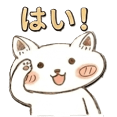 Cute Cat's Daily Life!!