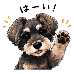Miniature Schnauzer Daily Talk
