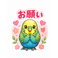Chatty Budgie