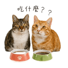 咪咪梅梅長大版