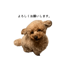 sai & baku_20260502224631