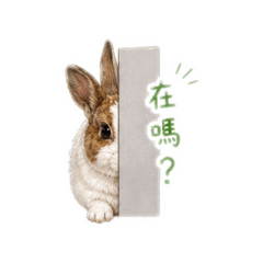 奶茶咖啡
