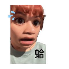 阿呆的5天
