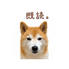 Koharu_20260512153612
