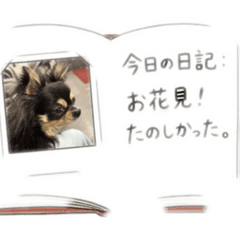 jaga dog_20260512153818