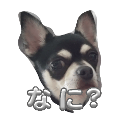 akikoMAMA_20260512153831