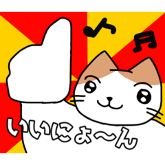 po_20260512154820