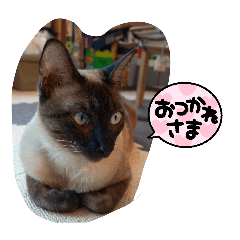 kuro_20260512154248