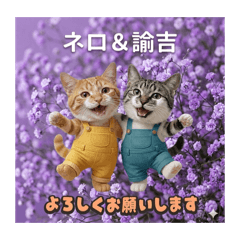 himayan_20260512154634