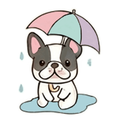 Kana 'n Mookob V.3- Rainny
