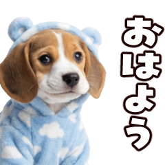 Moving beagle
