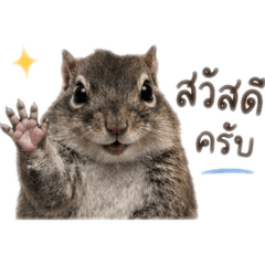 Kesinee_20260428175925