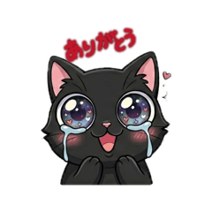NEKO-ME_20260512160132