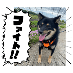 nico_20260512160132