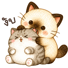 เหมียวชีสเค้ก <3