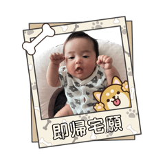 momo_20260512154806
