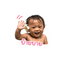 Shamil v.1_20260428175826