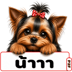 Yorkie Emotion2 By Pet2Fun