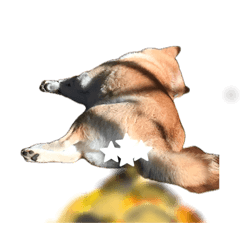 7_20260512162647