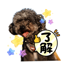 ケビンモカ
