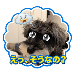 vivihappy_20260503072736