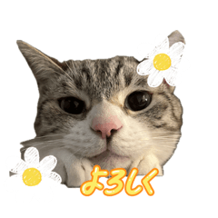 Ryoto_20260512163928
