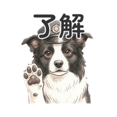 tanki_20260512164729