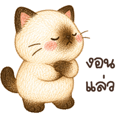 เหมียวชีสเค้ก บิ้กๆ <3